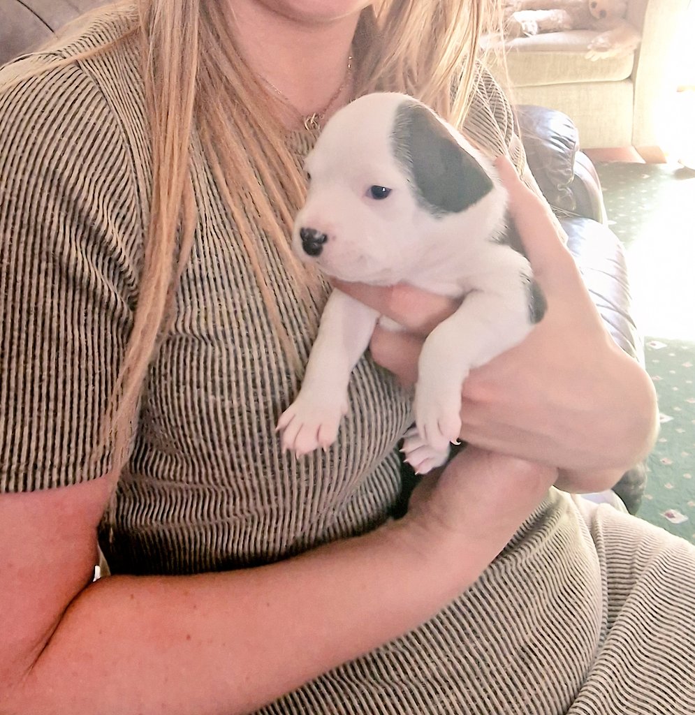 Stacey Salt 🦄🍄🌸 tweet media