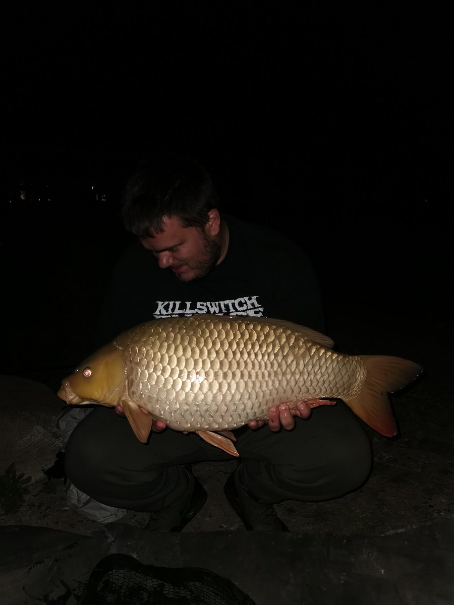 Jamie1fishing's tweet photo. The biggon out of the secret koi lake a few years ago https://t.co/IwQWwskZa6