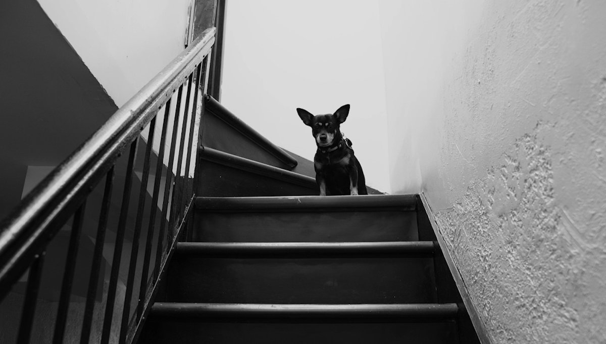 Forgive Me - I Was Not Looking by Carrie Beehan | Distributed by Ditto Music

dittomusic.com

New music video from Carrie Beehan coming to Vevo. (powered by <a href="/dittomusic/">Ditto Music</a>) dittomusic.com