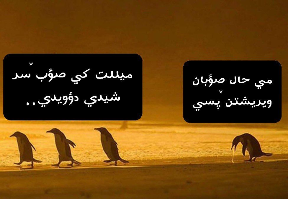 GilakiMemes's tweet photo. #گیلکي_میمؤن #گيلکي #دؤوستن #صؤبان 🏃🏻‍♂️ https://t.co/AAu6x7VELv