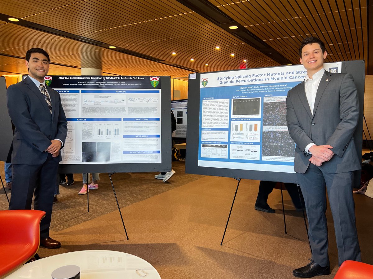 Halene Lab (@halene_lab) on Twitter photo Kudos to #Classof2022! Congratulations to our students Mathew Krick and Marcus Shallow for successfully presenting their senior year project! <a href="/MCDB_Yale/">Department of MCDB</a> <a href="/YaleCancer/">Yale Cancer Center</a> <a href="/YaleHematology/">YaleHematology</a> #RNA Kudos to #Classof2022! Congratulations to our students Mathew Krick and Marcus Shallow for successfully presenting their senior year project! <a href="/MCDB_Yale/">Department of MCDB</a> <a href="/YaleCancer/">Yale Cancer Center</a> <a href="/YaleHematology/">YaleHematology</a> #RNA