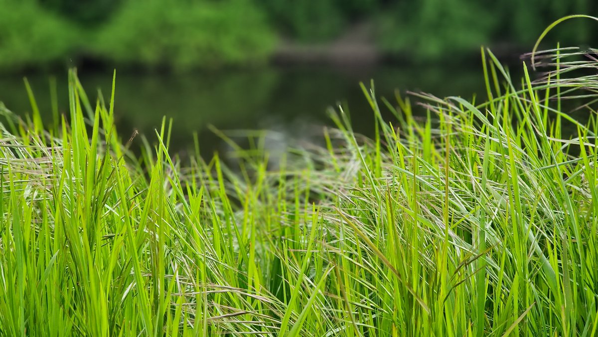 Veterinärtheologe tweet media