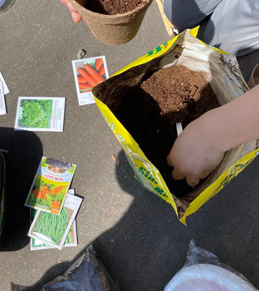 Melissa Seco tweet media