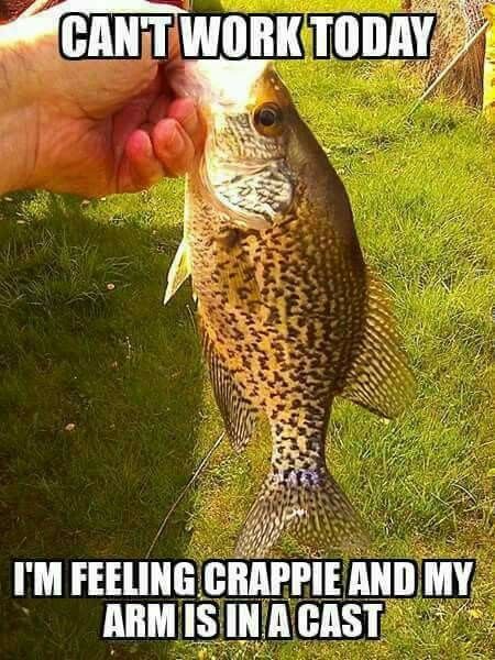 Can't work today I'm feeling crappie and my arm is in a cast.  🎣  #fishing #fishinglife #memes #funny