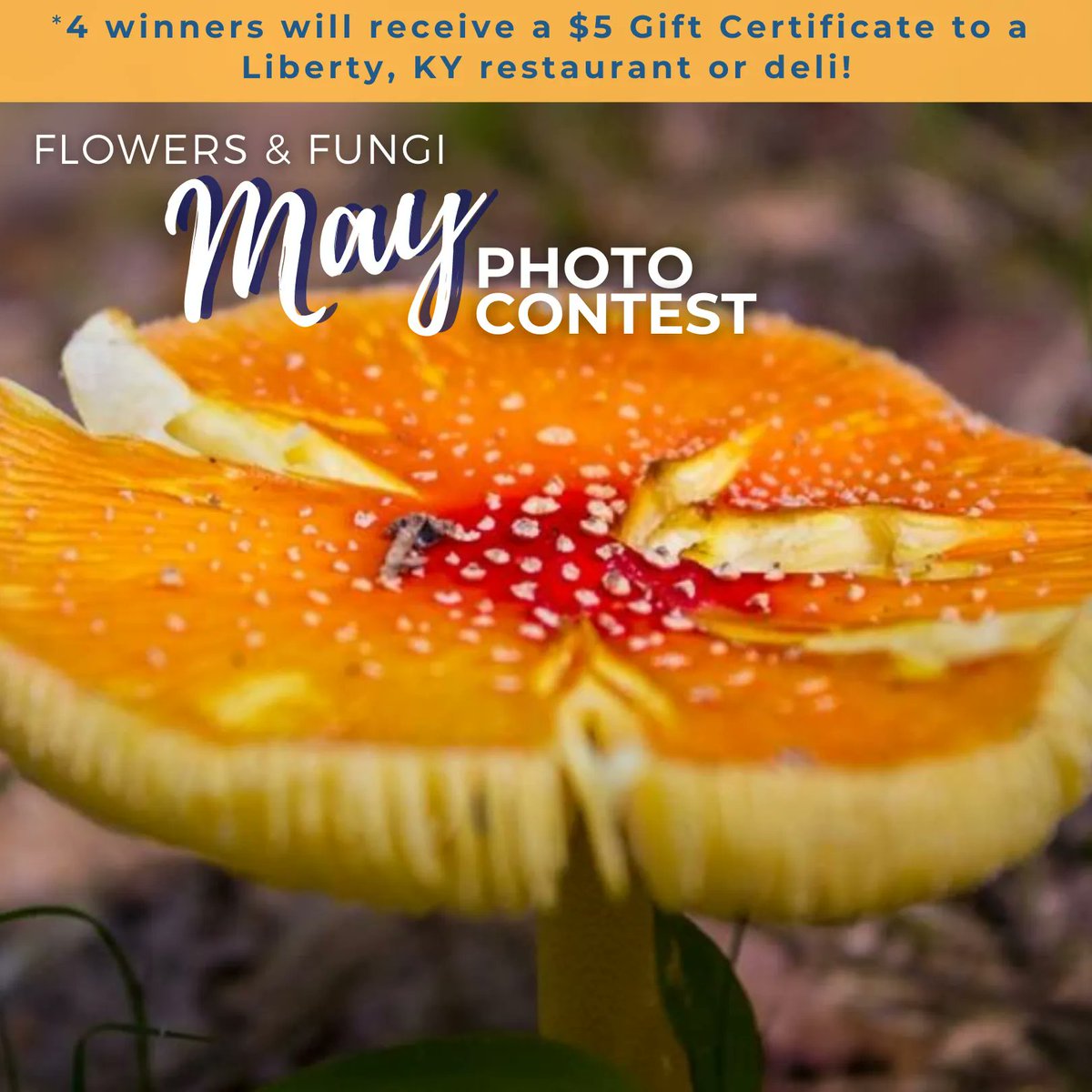 Our May Photo Challenge is here! Flowers &amp; Fungi. Must be taken in #CaseyCountyKY. Submit by 30th at midnight, winners announced the 31st. Comment to enter.
Contest Rules:
buff.ly/2YjeEIx