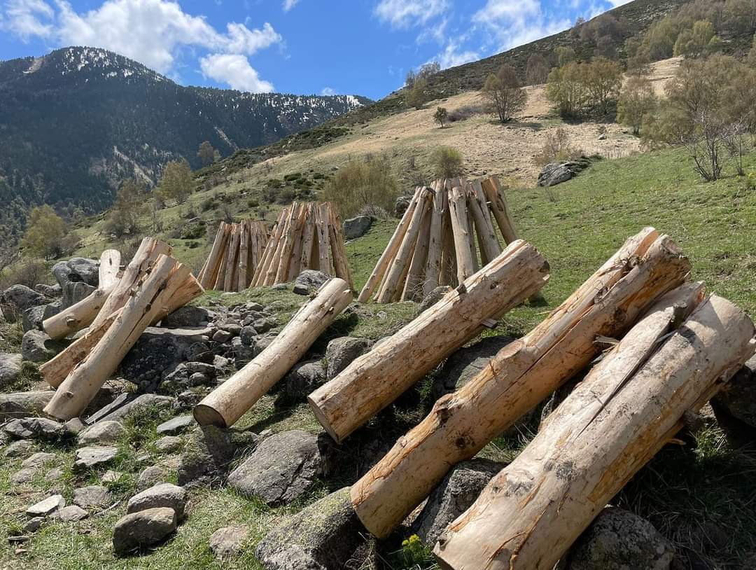 visitpallars's tweet photo. RT @fallesdisil👇
🔥Avui hem tallat i preparat les Falles per a tenir-les llestes per al proper 23 de juny! Aquí les tenim assecant-se per a cremar bé el dia de Sant Joan 🔥💪🏻
#fallaires #fallesisil #fallesdisil #pirineus #fallesisil22 #isil #pnaltpirineu #tradicions #falles https://t.co/8KuZsfjJsg