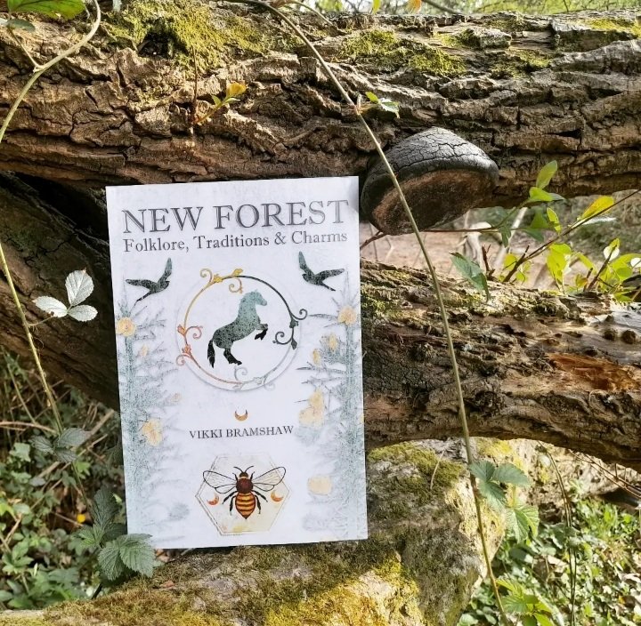 VBramshawAuthor's tweet photo. It's here .. #newforestcunning #avaloniabooks https://t.co/hJwfVIsmdL