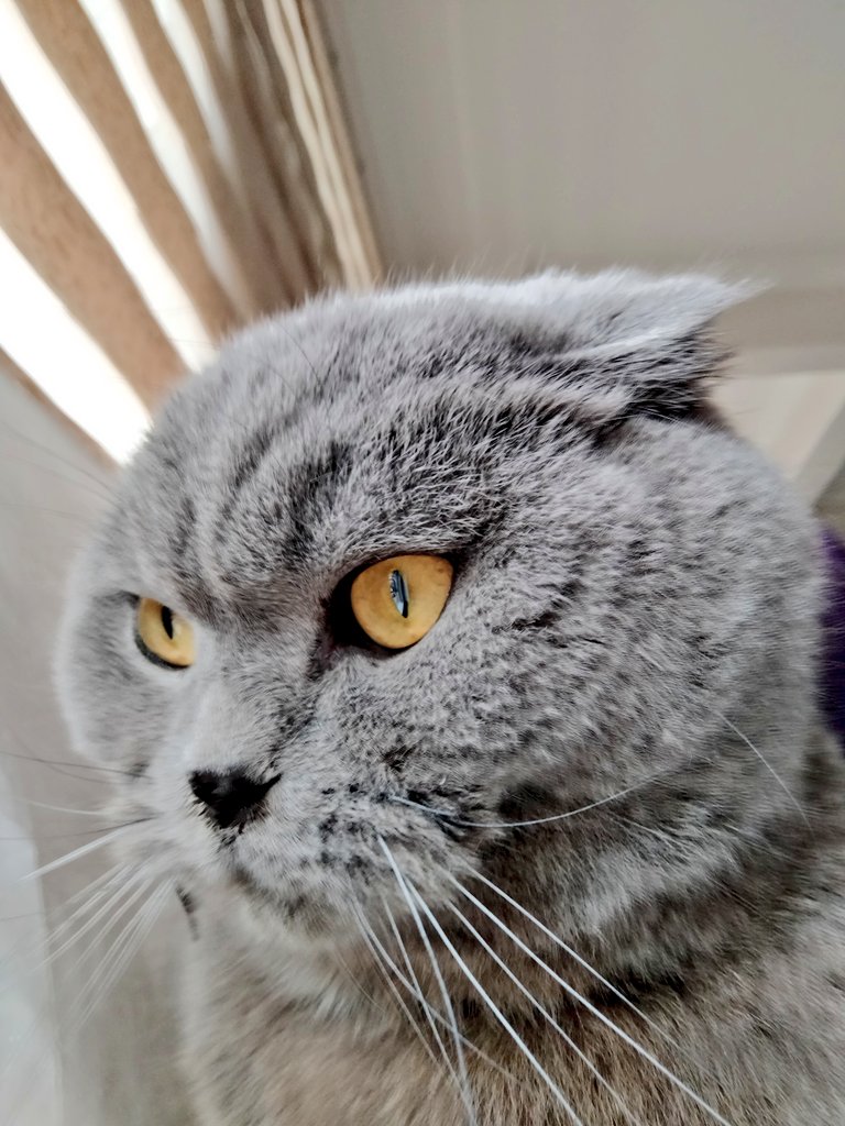 Art                    Artist