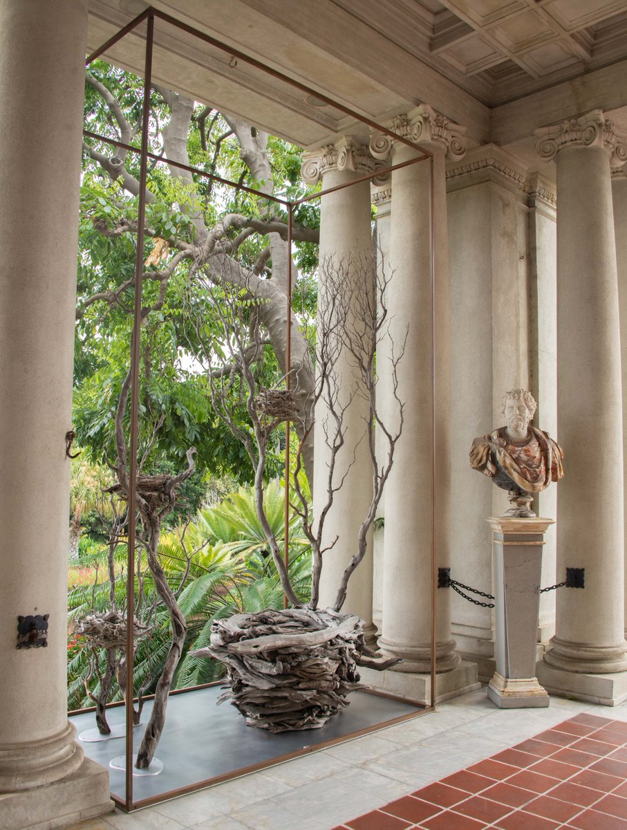 The Huntington tweet media