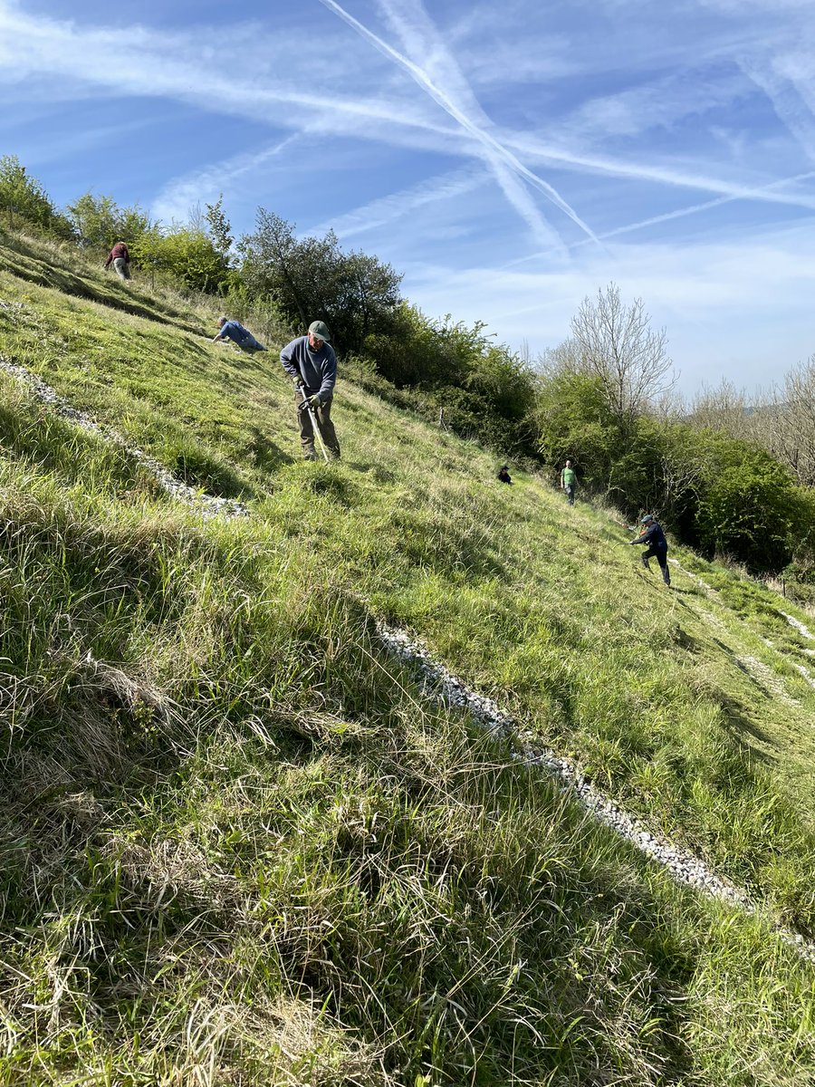 Great turnout of local volunteers for our Working Picnic today, strimming &amp; weeding #WW1 hillside badges of #RoyalWarwicks &amp; #Shiny7th. Restored courtesy of <a href="/HeritageFundUK/">The National Lottery Heritage Fund</a> in 2016-18. @CranborneChase