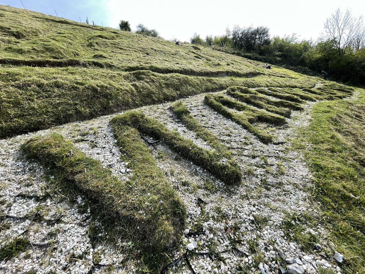 suttonbadges's tweet photo. Great turnout of local volunteers for our Working Picnic today, strimming & weeding #WW1 hillside badges of #RoyalWarwicks & #Shiny7th. Restored courtesy of @HeritageFundUK in 2016-18. @CranborneChase https://t.co/47lSQWvtZf