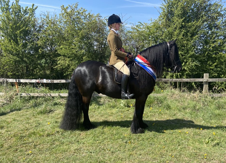 BromsGirlsPE's tweet photo. Congratulations to Amy P who won the Royal international horse show junior large breeds qualifier today and was also crowned Champion Junior @BromsSchool https://t.co/pUwEpDecJW