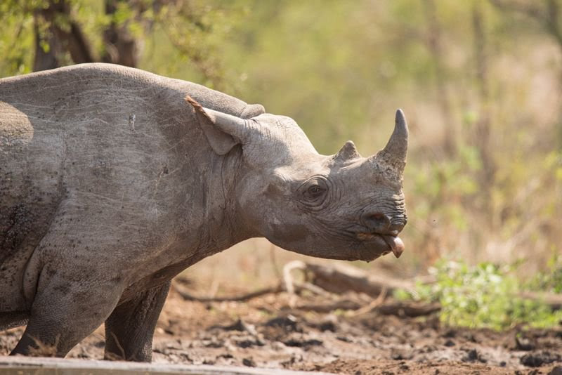 🏴‍☠️ The One! 🏴‍☠️ tweet media