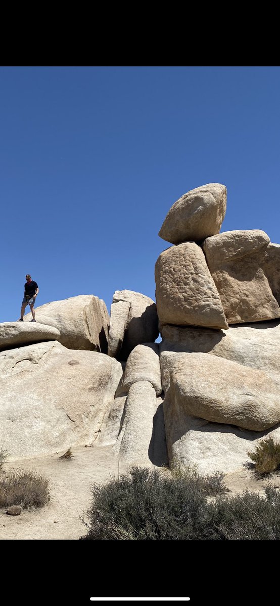 Peter Ogburn tweet media