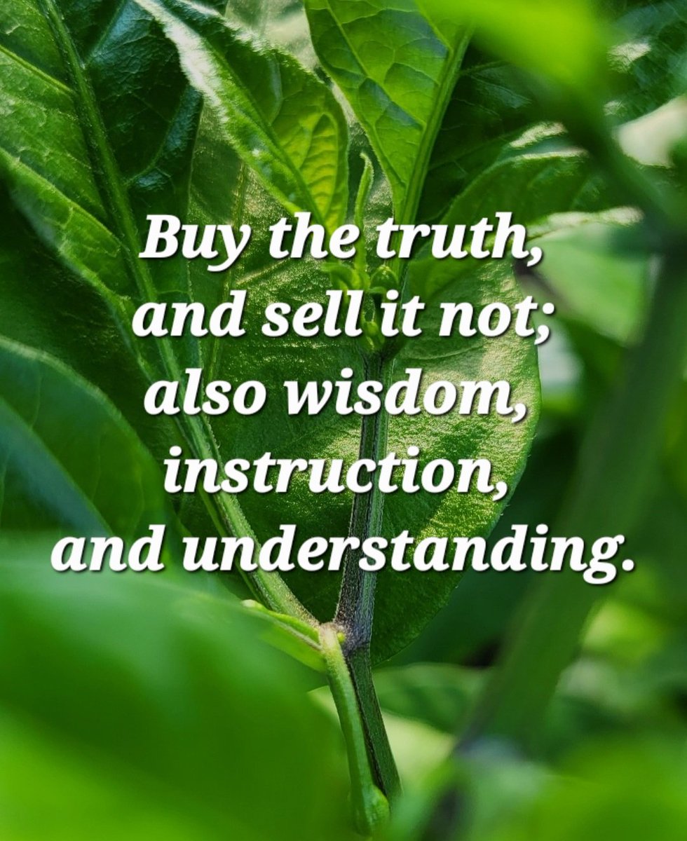 okeives's tweet photo. Buy Truth, and sell it not; also wisdom, instructions, and understanding -Proverbs 23:23 
#wisdom #proverbs2323 #2020vision #2020beyondvision #holyspiritwithin #tweets #imperativemystery #imperative #mystery #growth #love https://t.co/zu0qVYhkvJ