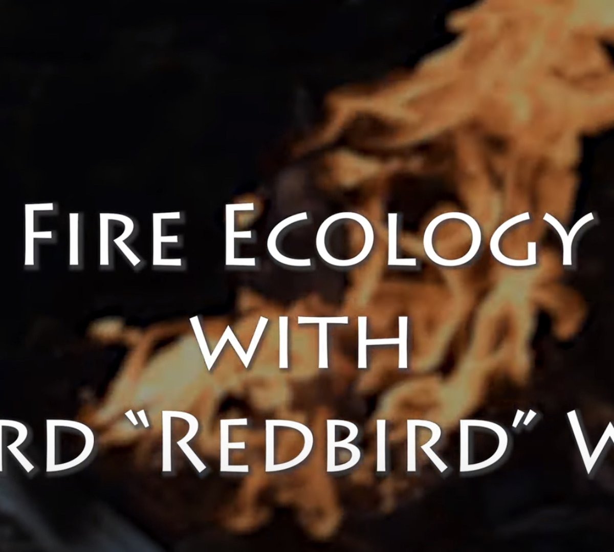 Watch this incredibly well done video featuring dear friend Redbird discussing the use of fire to manage our California lands.
@nativecultures on YouTube
#fireecology 
#usingfire 
#landmanagementwithfire 
youtube.com/watch?v=ZHC8Qg…