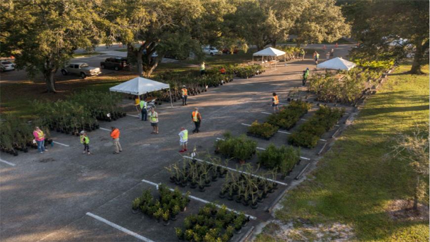 BrowardCounty's tweet photo. 🌳Registration is NOW OPEN for the #WaterMattersMonth Tree giveaway. Visit https://t.co/U99FDoQtQY to sign up and to view the full list of trees and shrubs that will be available. There will be native trees, fruit trees and shrubs too! https://t.co/EN4wguf0QX