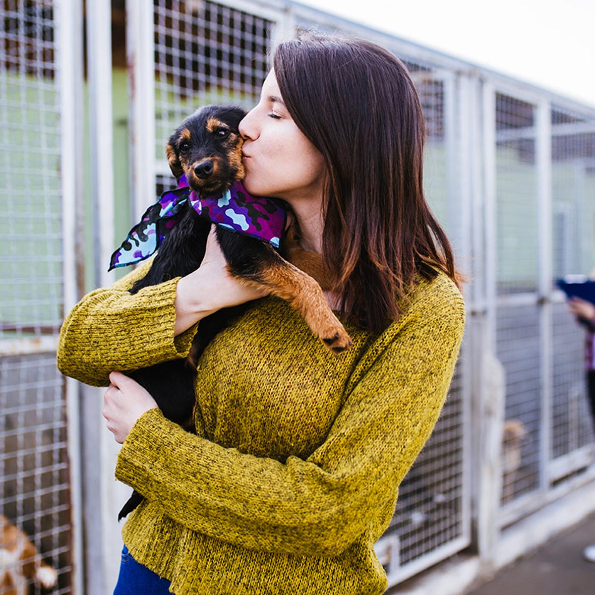 dfwpetsitting's tweet image. Today is National Adopt A Shelter Pet Day. Consider celebrating by adopting a shelter pet, volunteering your time at a local shelter or donating off of a shelter’s wants/needs list. We 💜 our shelter pets!