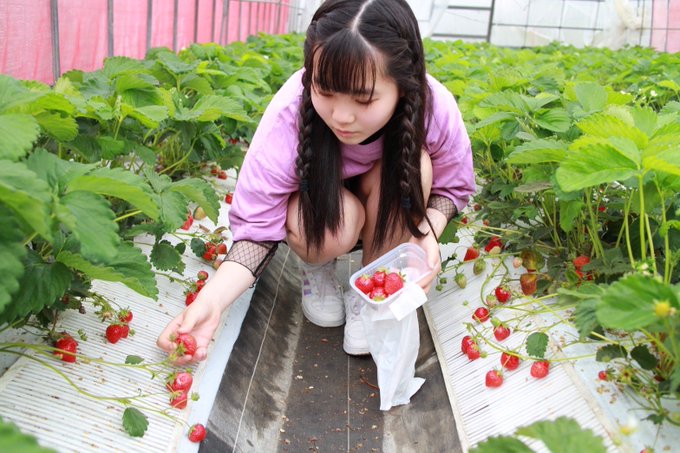 中本優愛のTwitter画像12