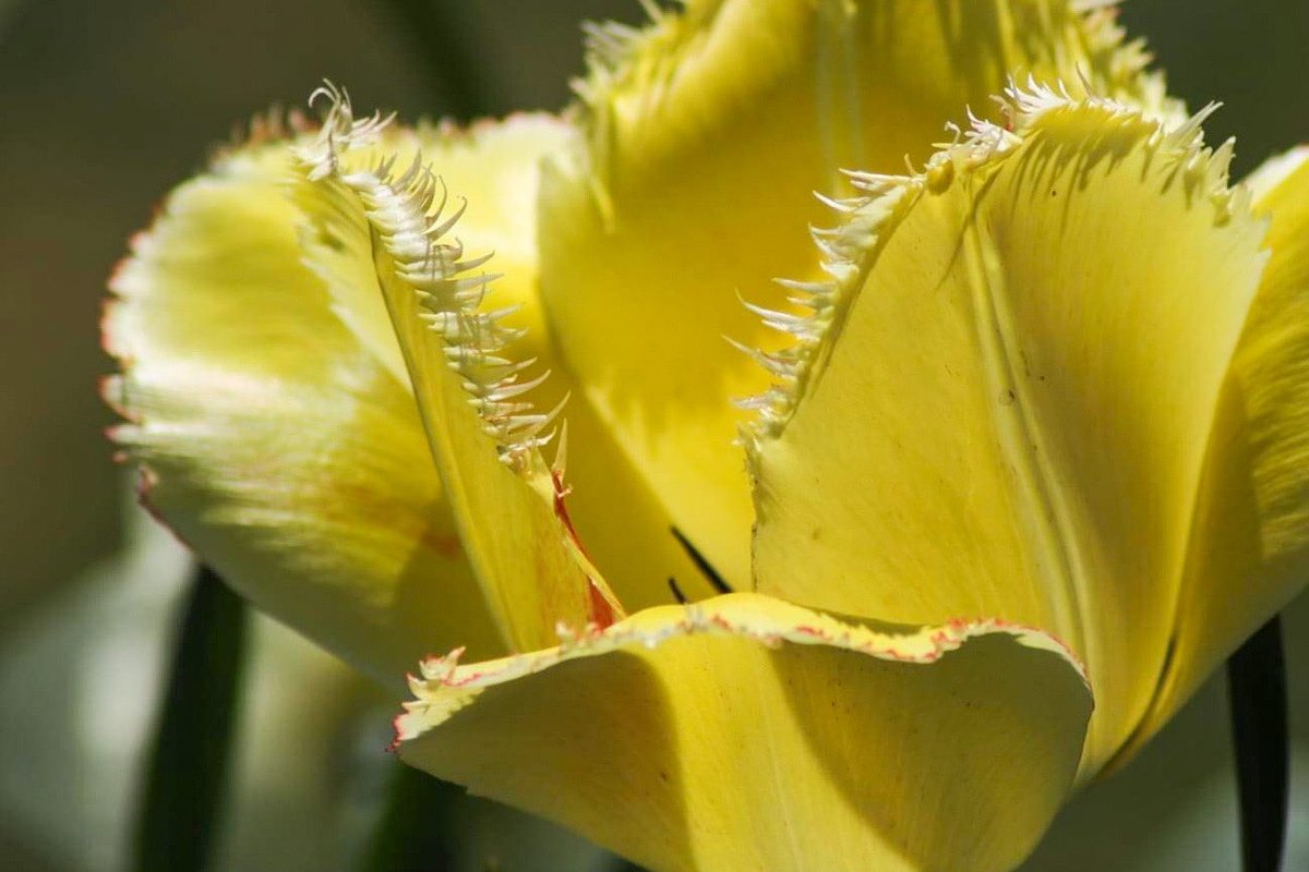 danbutler_55's tweet image. #apriltexturechallenge from the archives.