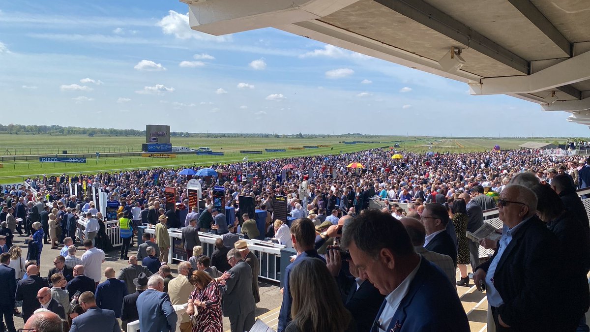 @peterstoptips1 tweet media