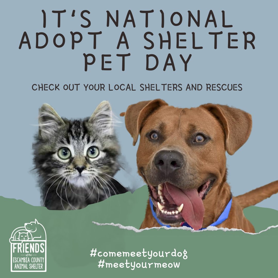 ECASFriends's tweet photo. Friends, who doesn't love a #Saturday? When you add that it's #NationalAdoptAShelterPetDay - you have the best day ever! To celebrate, show us your sweet shelter #besties in the comments. We always love to see them 😍 Head to the shelter &amp; #comemeetyourdog or #meetyourmeow 💖🐾💖 https://t.co/VAX7VKGn1x