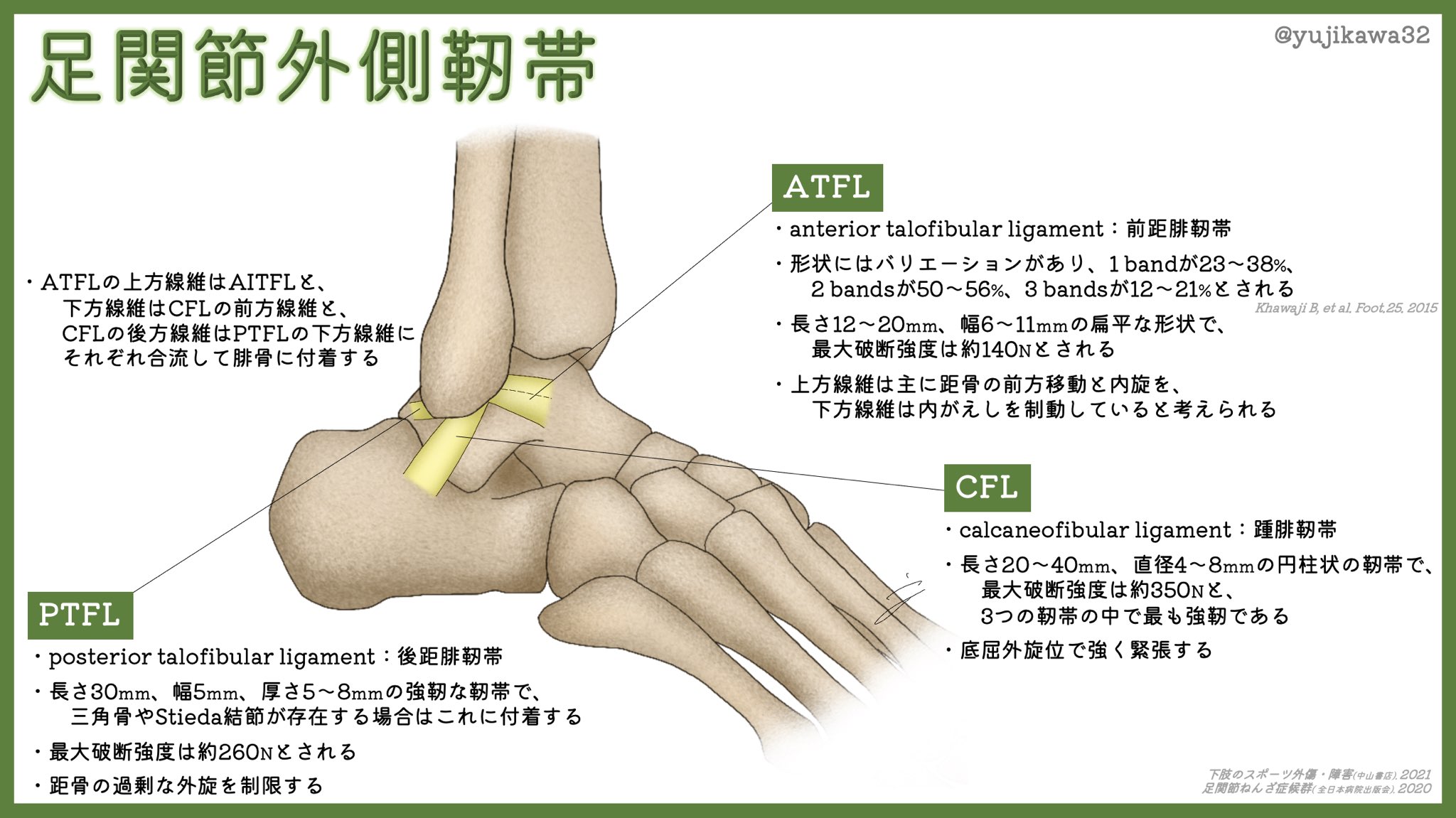 ユジカワ 整形dr イラストレーター 足関節外側捻挫のうち 特にatfl損傷が多い理由としては 靭帯の最大破断強度や付着位置などの問題があげられる 今思えば1日1投稿できていた時のペースが信じられない 足関節外側靭帯 解剖 イラスト日記
