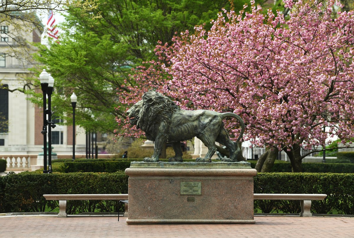 Columbia's tweet photo. 🌸 “In like a lion, out like a lamb.” 

While the old saying usually refers to the weather in March, we’re closing out our cold, rainy April celebrating all the warm spring days ahead. ☀️  https://t.co/xAGJrZDKMz

📷 #ColumbiaPhotoOfTheWeek by Eileen Barroso/Columbia University https://t.co/XKSHsXFTMS