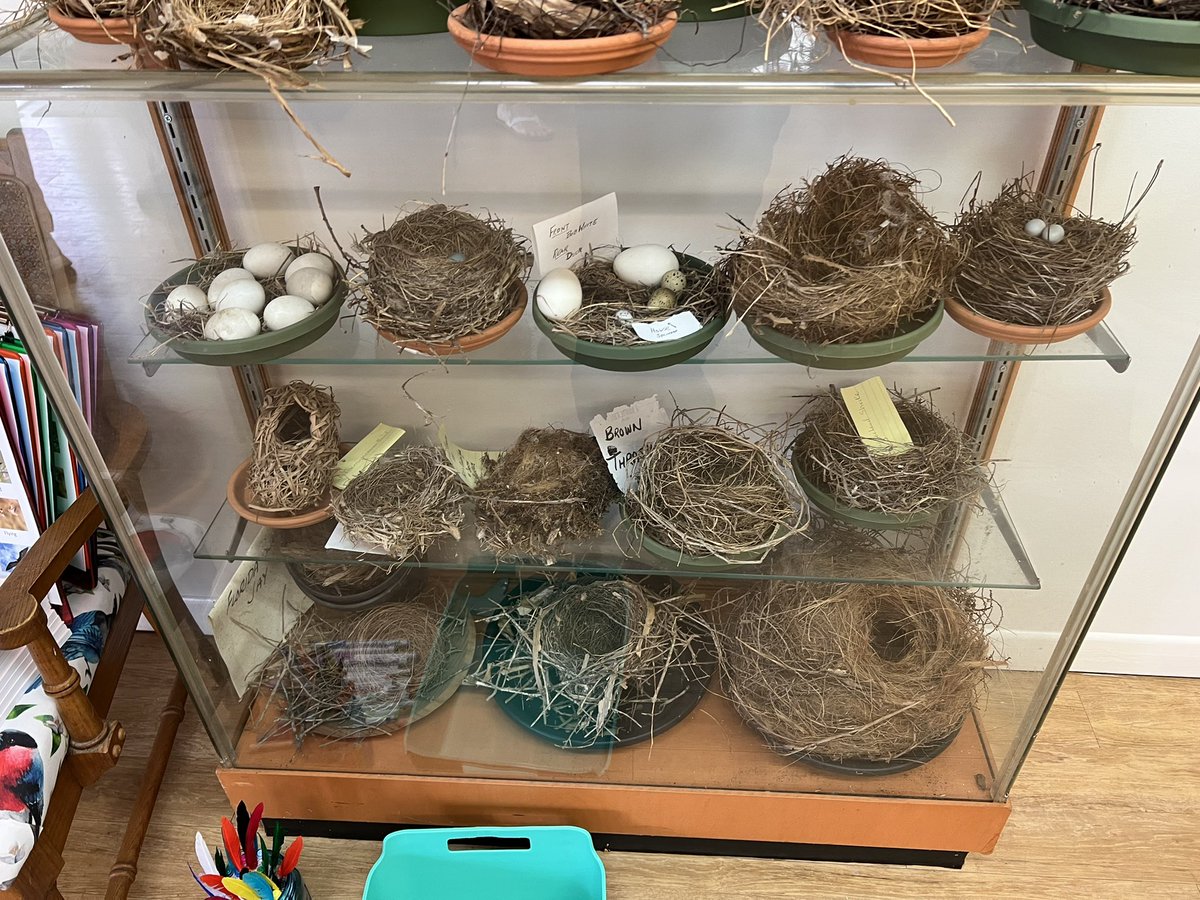 The fun has begun at the Venice Rookery.  These little ones are excited to be part of the Birding Bonanza as part of #SuncoastRemakeDays #RemakeDays <a href="/SuncoastCGLR/">Suncoast GL Reading</a> <a href="/ThePattersonFdn/">The Patterson Foundation</a>