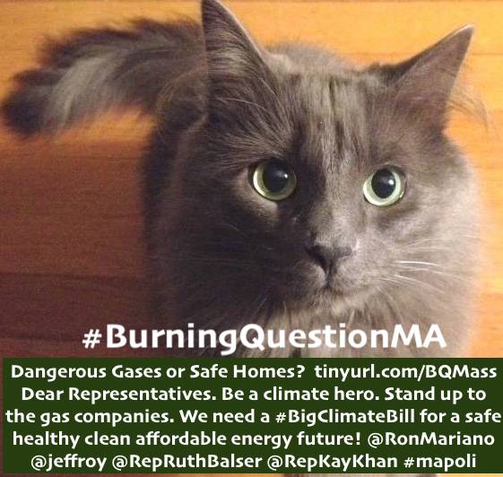 EllieG_HK's tweet photo. I want the House to create a #BigClimateBill this session. https://t.co/4brN7nhwkd @RonMariano @jeffroy #mapoli #CleanHeatNow #ClimateLeadership #BurningQuestion @MOF_Mass https://t.co/qBVjhMmWWo