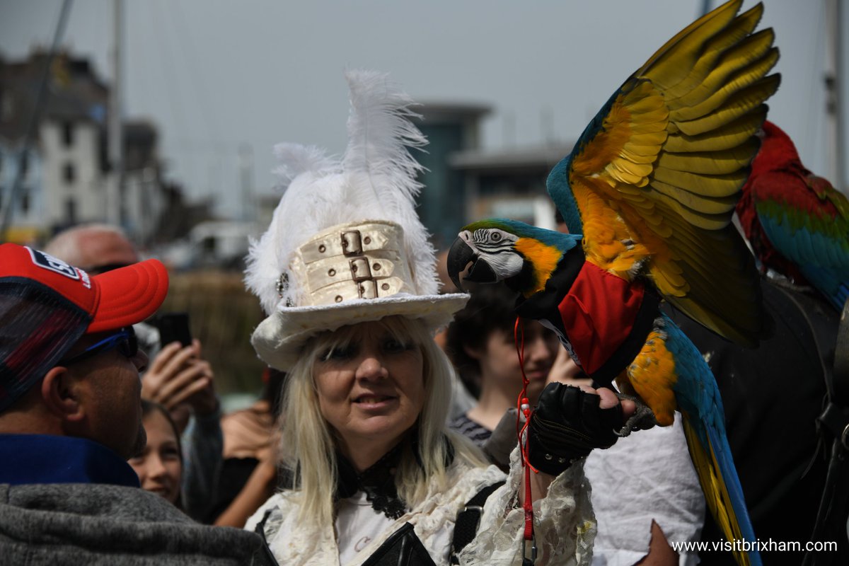 Visit Brixham tweet media