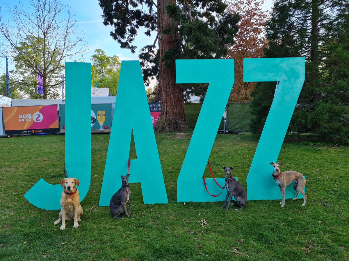 CafeEscalada's tweet photo. @cheltfestivals #jazz #CheltJazzFest https://t.co/PMyvNqir7G