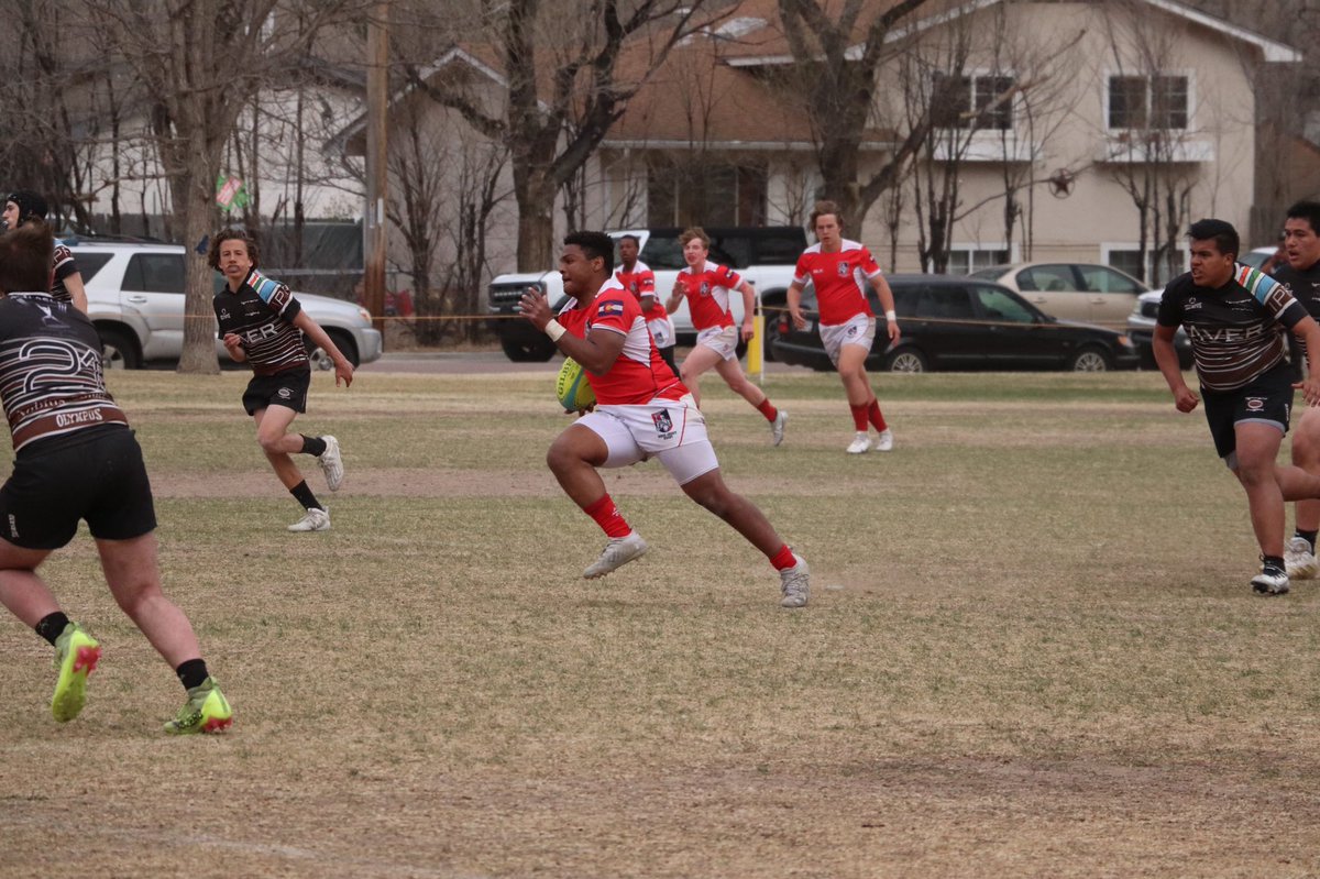 Regis Jesuit Boys Rugby tweet media