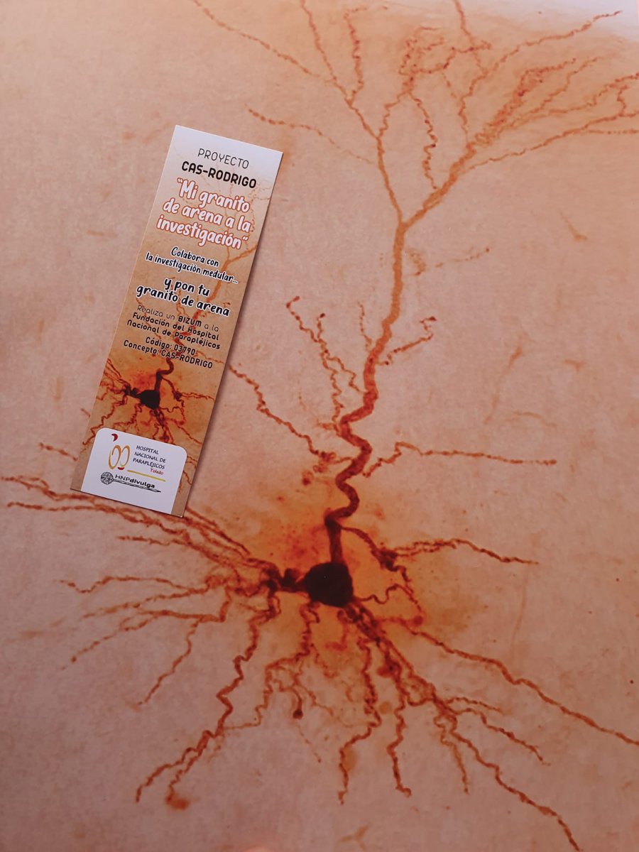 HNPdivulga tweet media