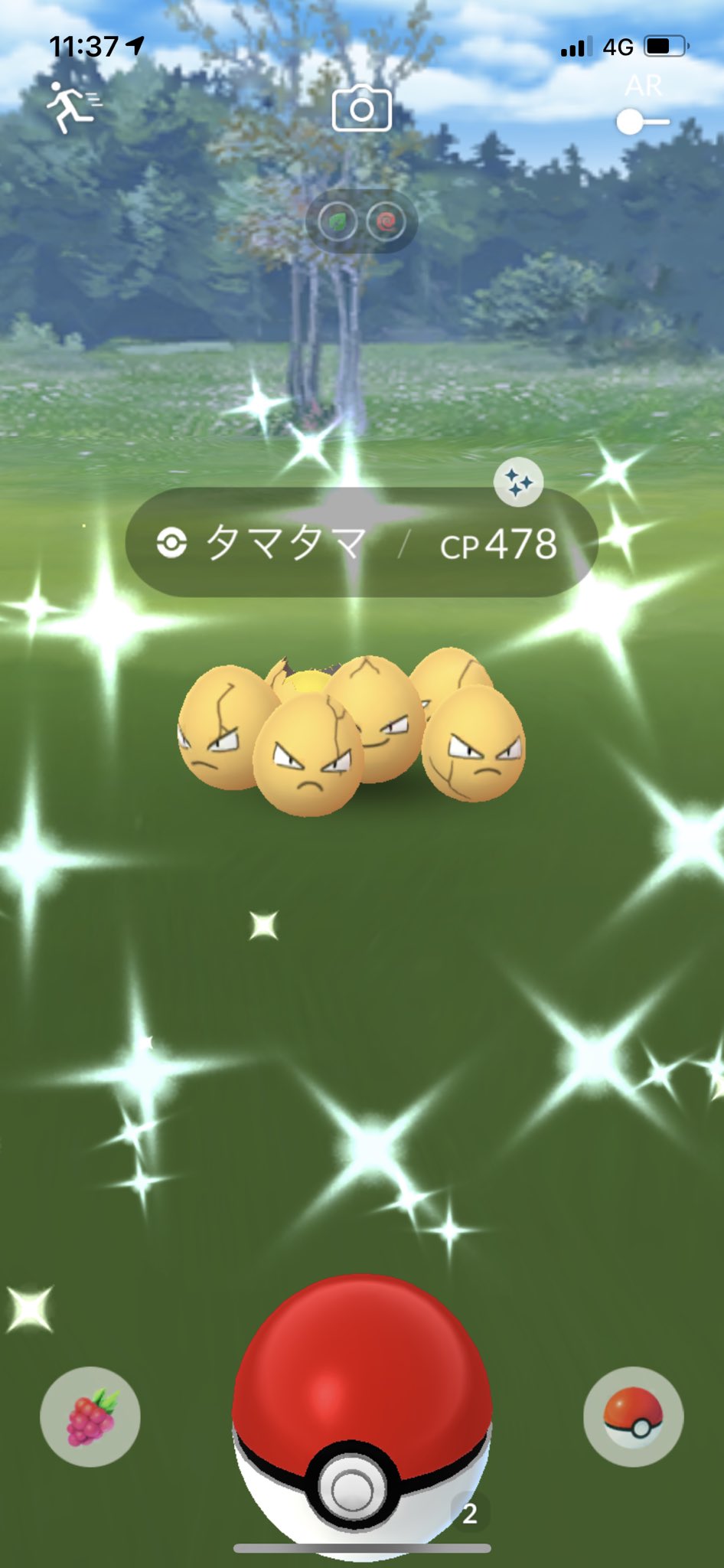 ポケモンgo 出現 タマタマ Pretrazi Twitter Twitter