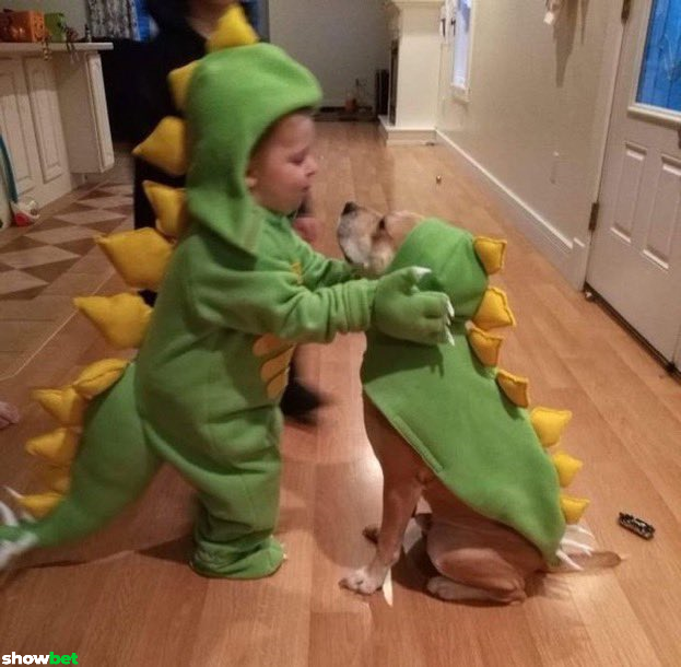 cuteanimalspict's tweet photo. https://t.co/TZ2V6vtL37