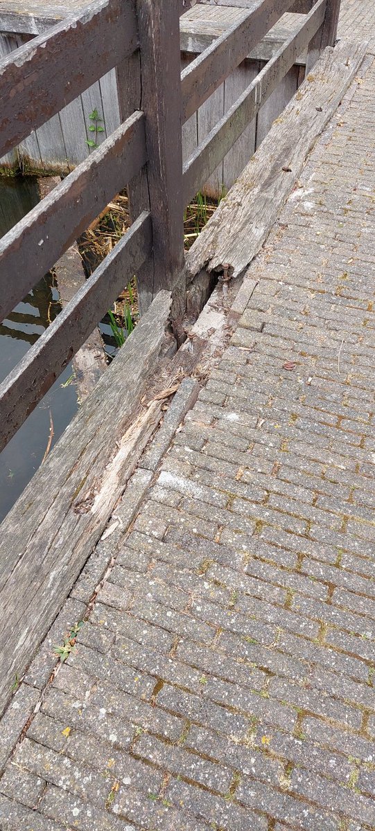 PROsliedrecht tweet picture
