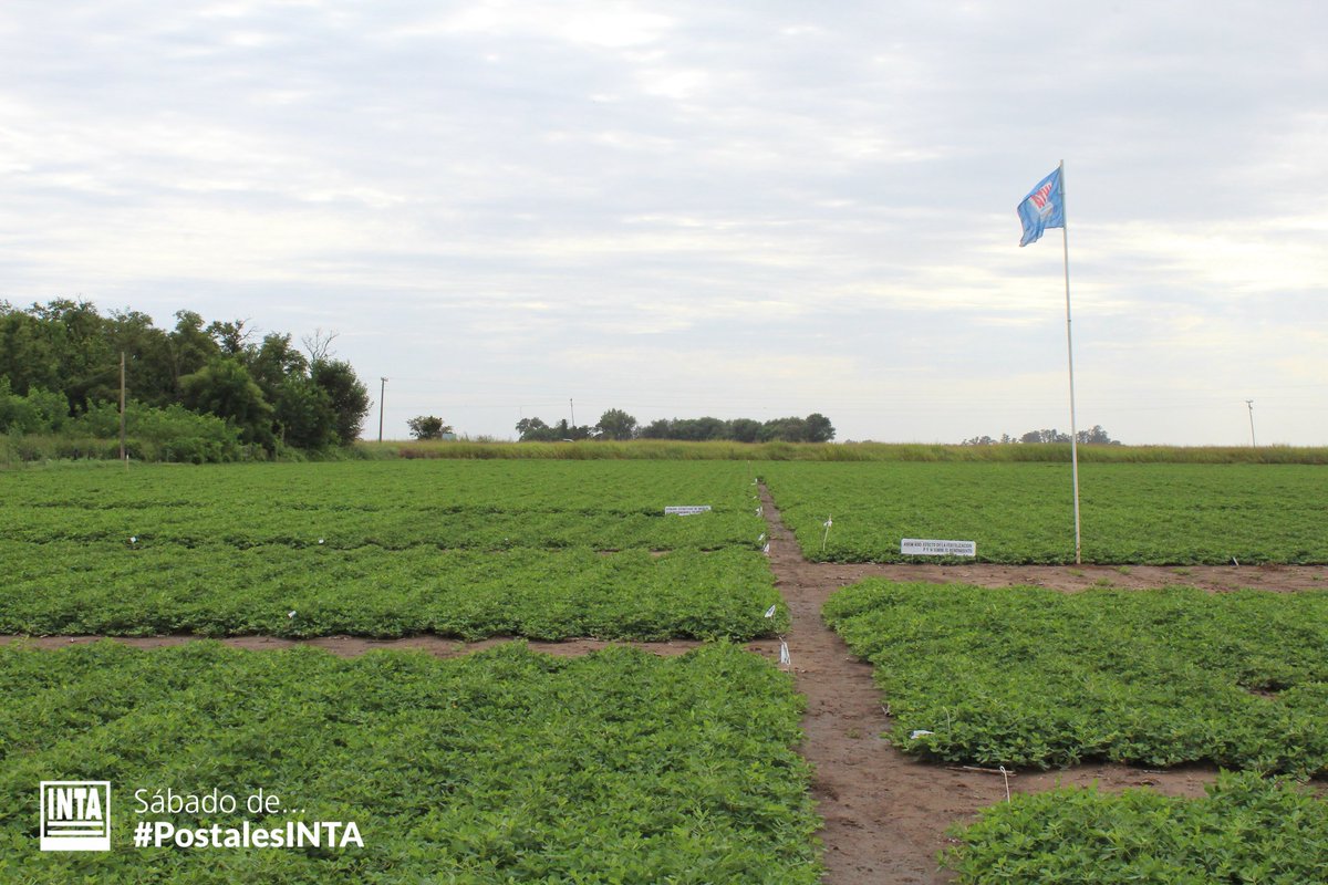 Sábado de... #PostalesINTA 📸