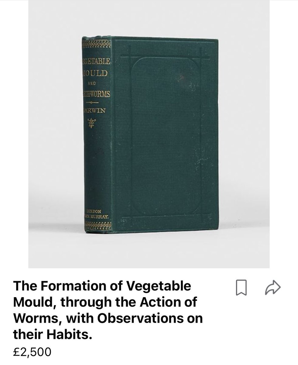 Constantine Sandis tweet media