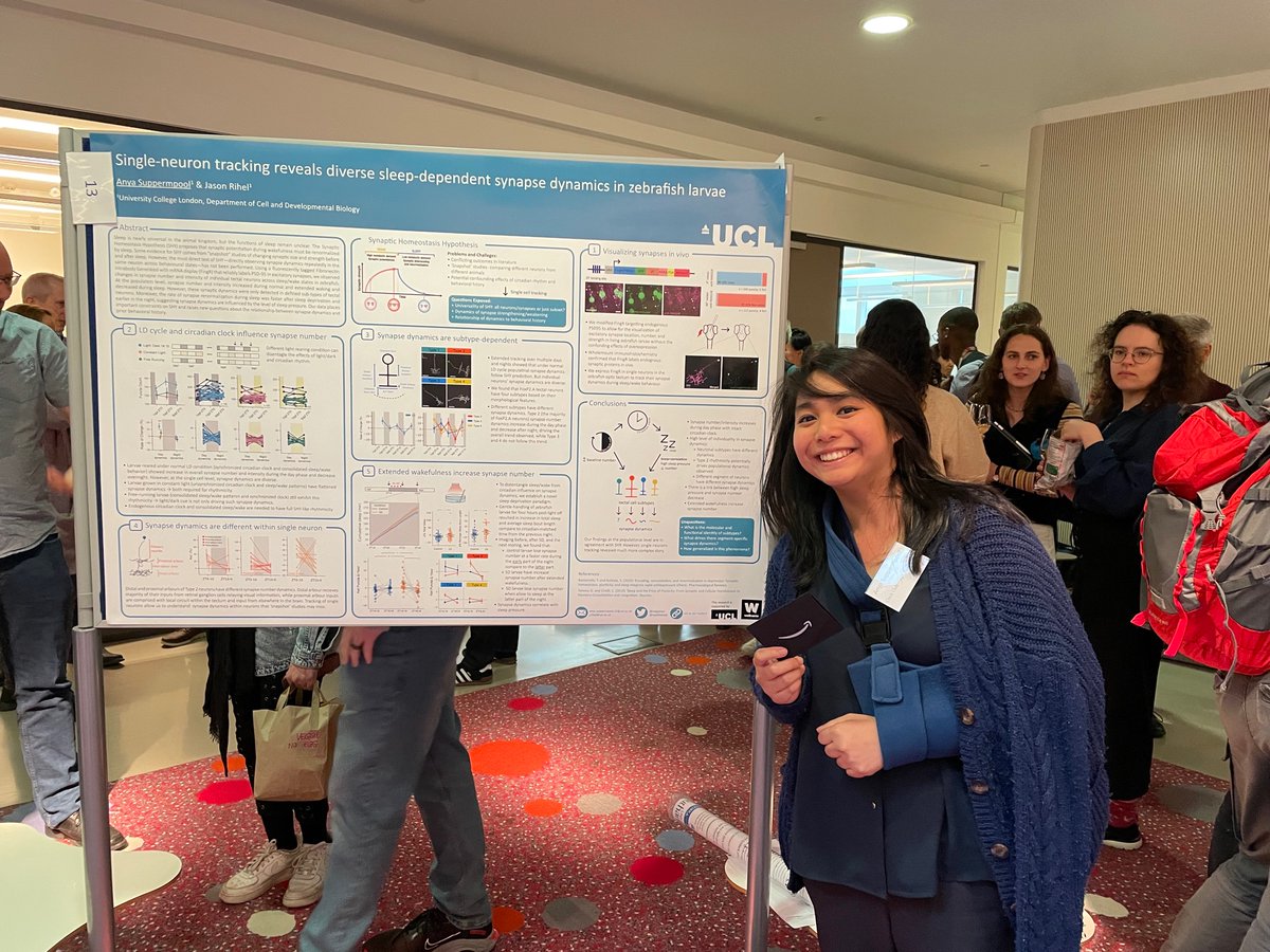 The Rihel lab tweet media