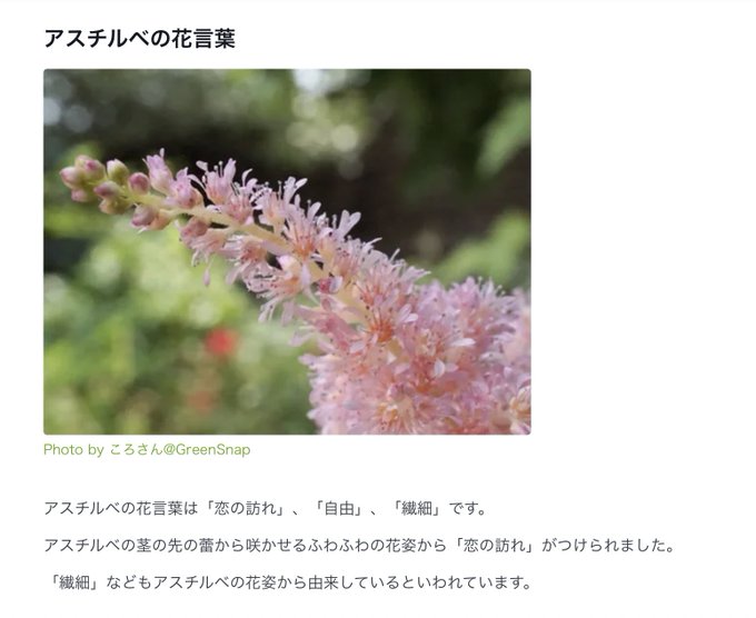 花言葉のtwitterイラスト検索結果