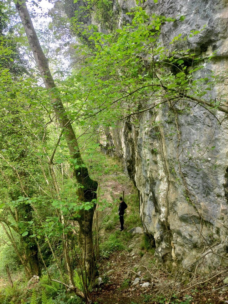 Andoni Mateos Cabero tweet media