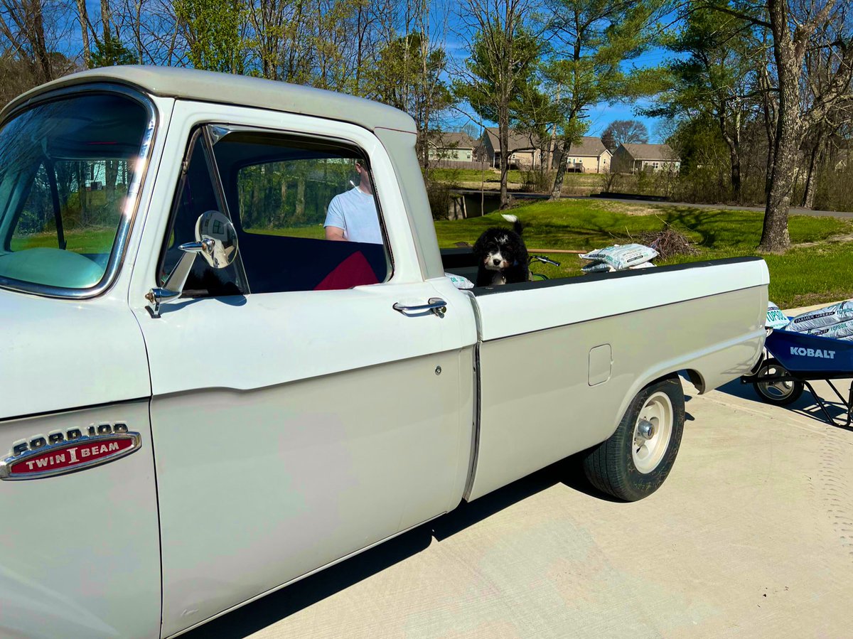 What’s better than getting to play in the dirt while dad does the flower beds? #flowerbed #puppy #Tricolor #bernedoodle #f100