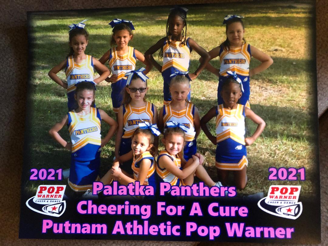 Perrybj55_3c's tweet photo. The Palatka Panthers Cheer teams rock!
#WeAreSEPopWarner
#Popwarnercheeranddance https://t.co/15lbEdd26c
