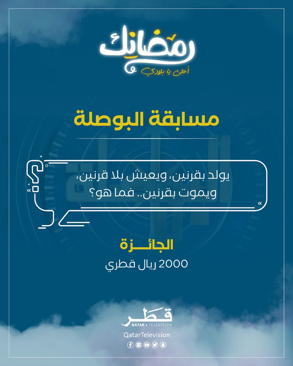 تلفزيون قطر tweet media