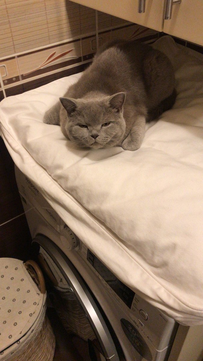 oluy camaçıyları ta bne yıgıyim