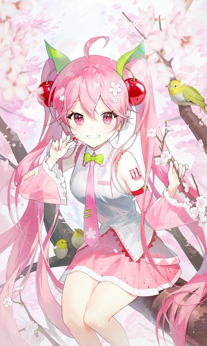 🌸 