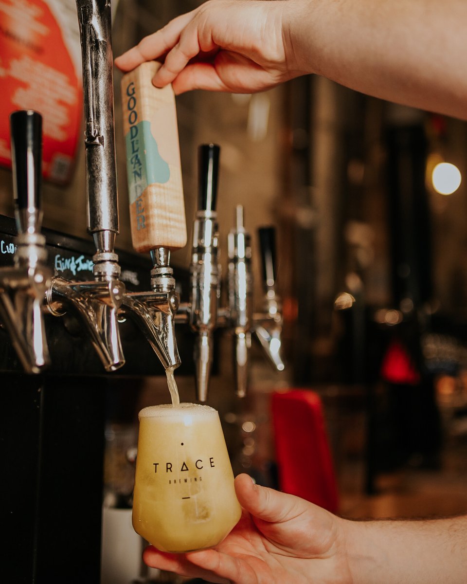 Trace Brewing tweet media