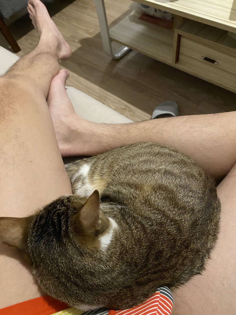 愛取暖的傢伙🐱