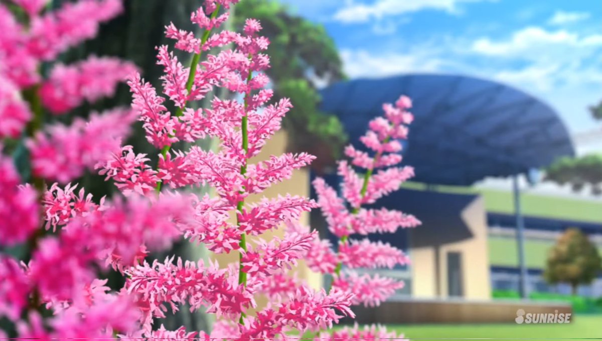 あじゅが S Tweet 虹ヶ咲 の第5話a Zu Na回の冒頭の花は 1つ目は歩夢のローダンセ 花言葉 変わらぬ想い 2つ目はしずくのエゾギク 花言葉 変化 4月3日の誕生花 3つ目にせつ菜をイメージしたチダケサシ 花言葉 まっすぐな性格 と予想 最後も1つ